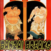 Banzai Breaks по цене 1 800.00 ₽