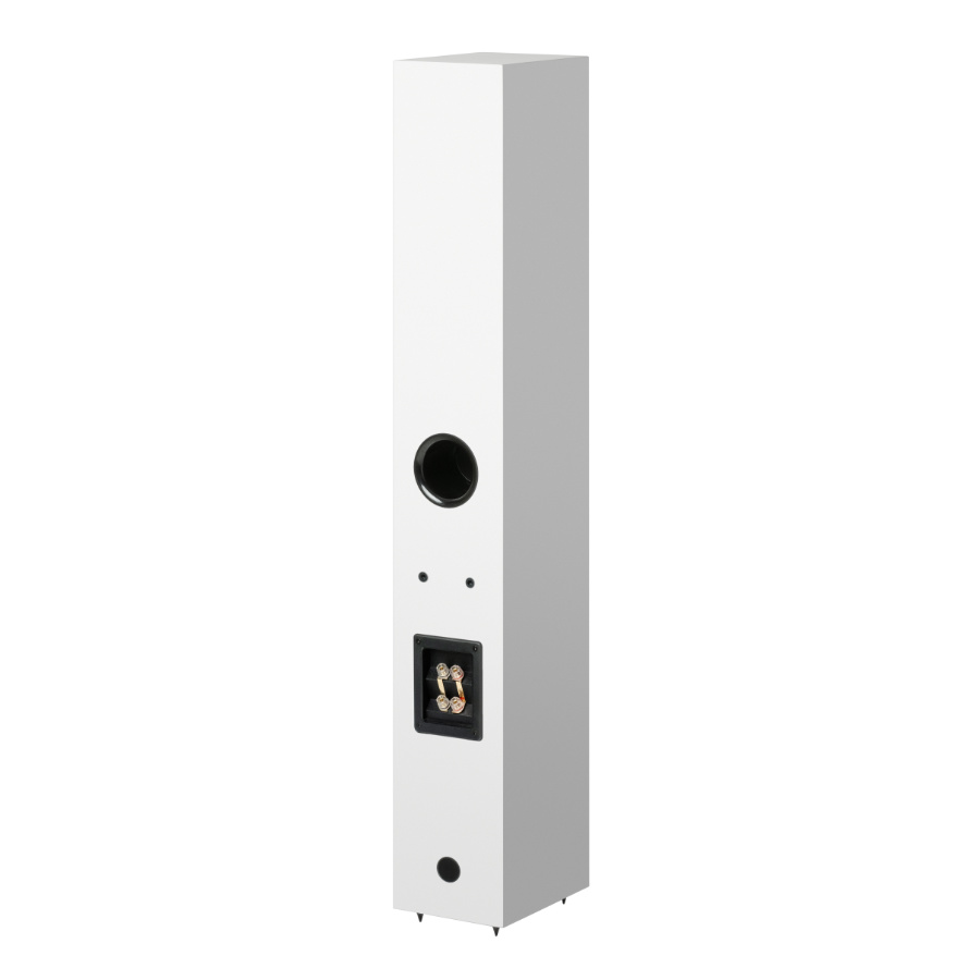 Pro-Ject Speaker Box 12 E Carbon Satin White по цене 130 000.00 ₽