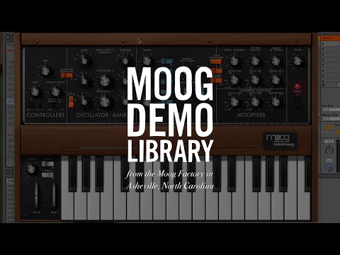 Moog Minimoog Model D по цене 852 800 ₽