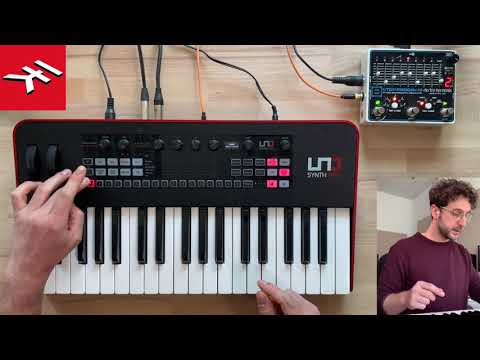 IK Multimedia UNO Synth Pro по цене 71 150 ₽