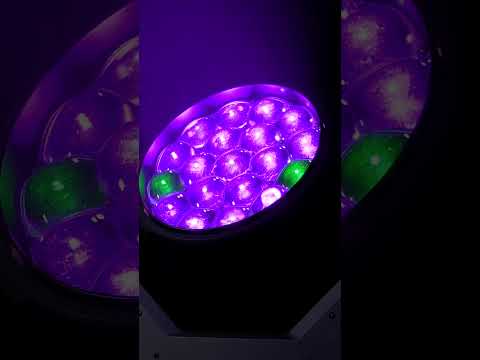 D'Addario NB1253 - Set Nickel Bronze Acoustic, Light, 12-53 по цене 1&nbsp;670.00 ₽