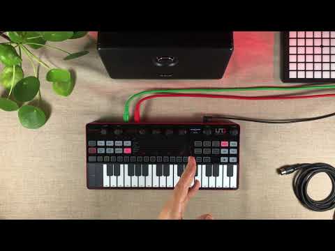 IK Multimedia UNO Synth Pro по цене 71 150 ₽