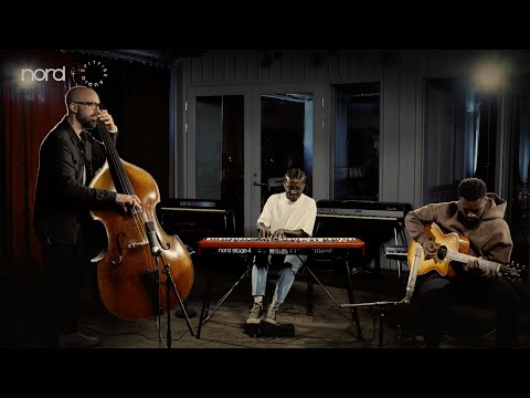 D'Addario NB1253 - Set Nickel Bronze Acoustic, Light, 12-53 по цене 1&nbsp;670.00 ₽