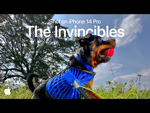 OXI Instruments One по цене 74 530 ₽