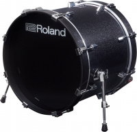 Roland KD-200-MS по цене 223 700 ₽