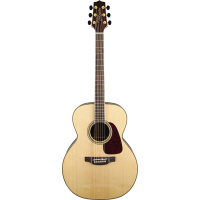 Takamine G90 Series GN93