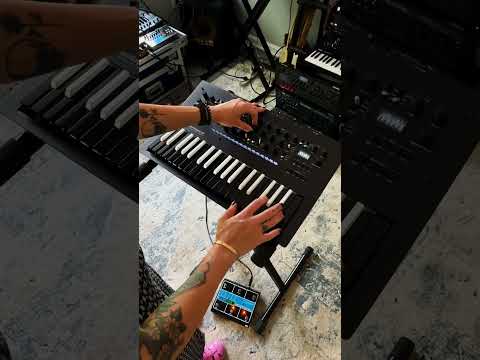 Korg Minilogue XD BW по цене 96 600 ₽