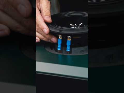 Antelope Audio Atlas i8 по цене 320 000 ₽