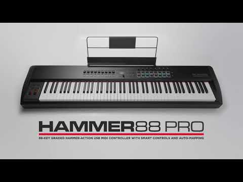 M-AUDIO Hammer 88 Pro по цене 134 000 ₽