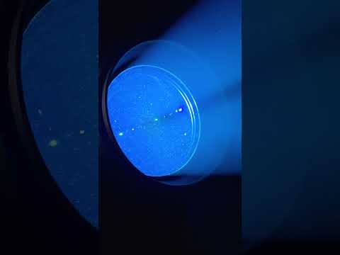 D'Addario NB1253 - Set Nickel Bronze Acoustic, Light, 12-53 по цене 1&nbsp;670.00 ₽