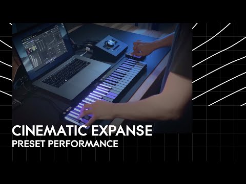 Dan Clark Audio Expanse по цене 440 000 ₽