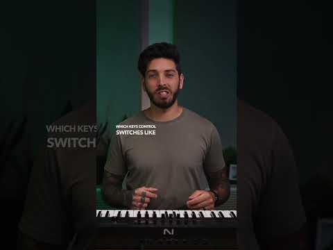 D'Addario NB1253 - Set Nickel Bronze Acoustic, Light, 12-53 по цене 1&nbsp;670.00 ₽