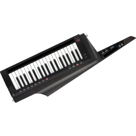 KORG RK-100 S-2 BK по цене 74 800 ₽