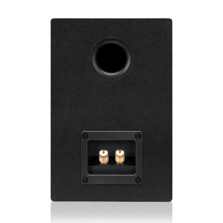 Emotiva Airmotiv B2+ купить за 59 990.00 ₽ с доставкой по Москве и всей России в интернет-магазине ALL for DJ Emotiva Airmotiv B2+ по цене 59 990.00 ₽