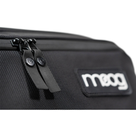 Moog Subsequent 25 SR Case по цене 41 400 ₽
