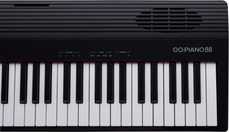 Roland GO-88P по цене 79 500 ₽