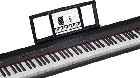Roland GO-88P по цене 79 500 ₽