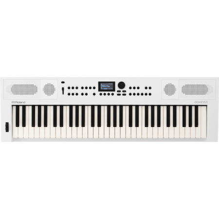 Roland Go:Keys 5 White по цене 66 050 ₽