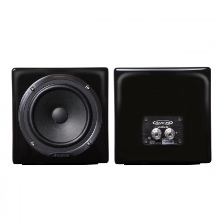 Avantone Pro MixCube Passive Monitor Pair Black по цене 31 200 ₽