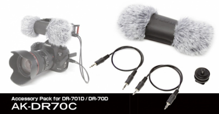 Tascam DR-701D + AK-DR70C Set по цене 44 840 ₽