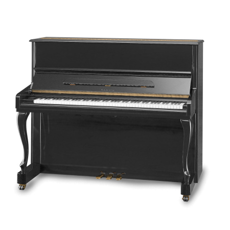 Samick JS121FD/EBHP по цене 600 300 ₽