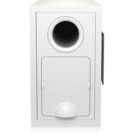 Tannoy SAT SUB-WH по цене 27 950.00 ₽