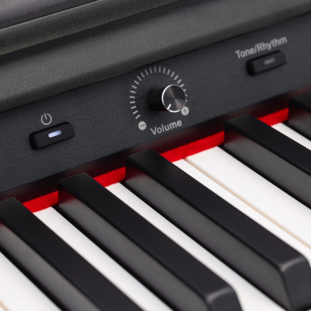 Rockdale Etude 256 BK по цене 59&nbsp;900 ₽