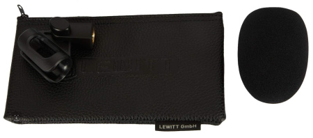 Lewitt MTP550DMs по цене 17 300 ₽