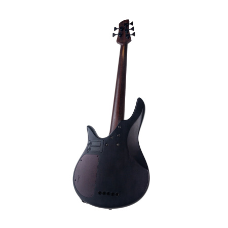 Spector Legend 5 Standard Black Stain по цене 74 860 ₽