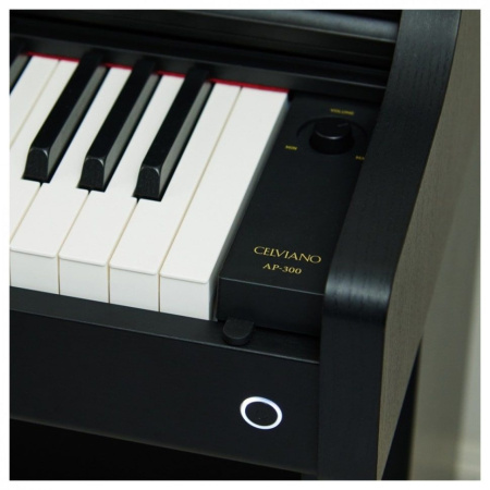 Casio Celviano AP-300BK по цене 148 650 ₽