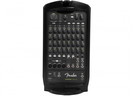 Fender PASSPORT® VENUE по цене 114 000 ₽