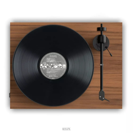 Pro-Ject Е1 BT AT3600L Uni Walnut по цене 62 700 ₽