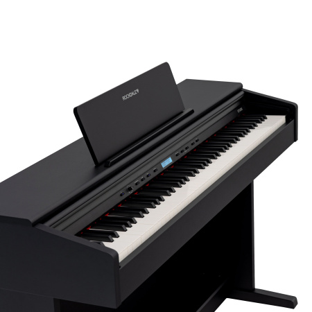 Rockdale Etude 256 BK по цене 59&nbsp;900 ₽