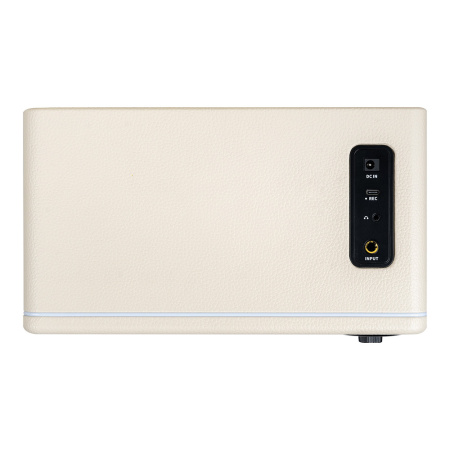 Mooer DH15i WH по цене 11 500 ₽