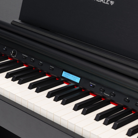 Rockdale Etude 256 BK по цене 59&nbsp;900 ₽