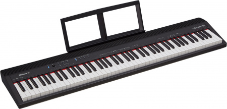 Roland GO-88P по цене 79 500 ₽