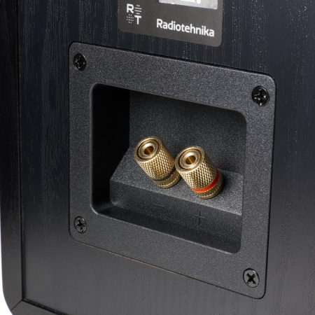 Radiotehnika S-20N Black Ash по цене 24 990 ₽