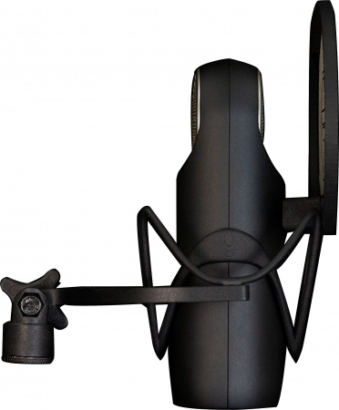 Aston Microphones Element Bundle по цене 20 250 ₽