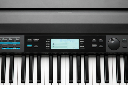 Kurzweil KA120 LB по цене 96 390 ₽