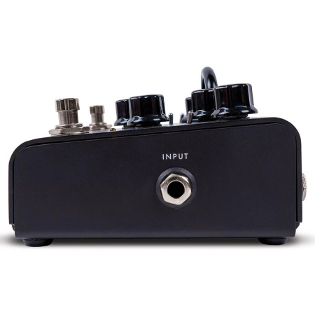 Blackstar Dept. 10 Dual Distortion по цене 28 040 ₽