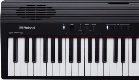 Roland GO-88P по цене 79 500 ₽