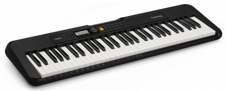 Casio CT-S200 / CT-S195 BK по цене 22 809 ₽