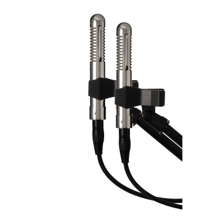 Warm Audio WA-2FT Stereo pair Fen-Tone по цене 107&nbsp;900.00 ₽