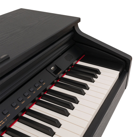Rockdale Fantasia 128 Black по цене 99 900 ₽