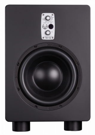 EVE AUDIO TS110 по цене 131 670 ₽