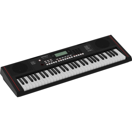 Roland E-X10 по цене 37 350 ₽