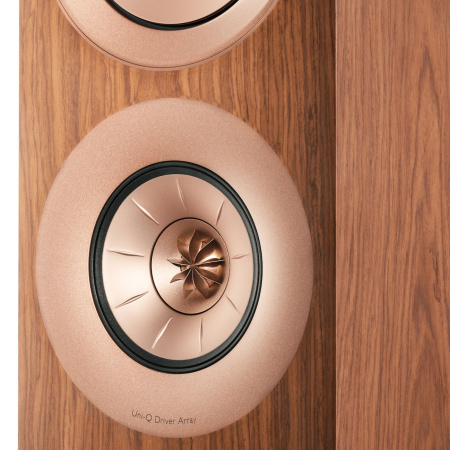 KEF R11 Walnut по цене 659 990.00 ₽