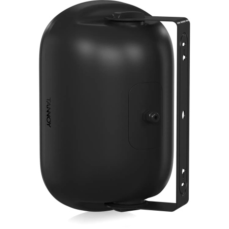 Tannoy DVS 601 по цене 17 550 ₽