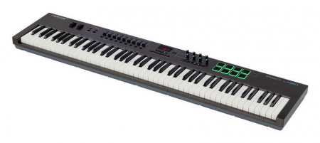 Nektar Impact LX 88+ по цене 30 600 ₽