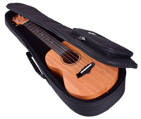 Enya EUS-25D по цене 7 750 ₽